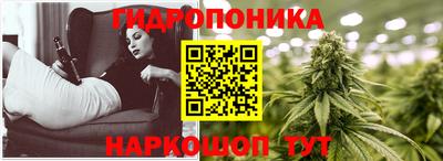 стаф Волжский