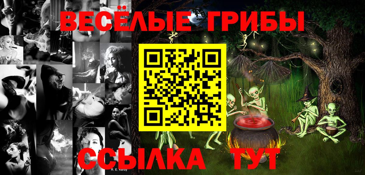 Псилоцибиновые грибы ЛСД  Вход с VPN  Псилоцибиновые грибы Magic Shrooms  Киселёвск 